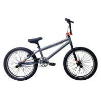 Велосипед BMX Tech Team STEP ONE 2024 Серый