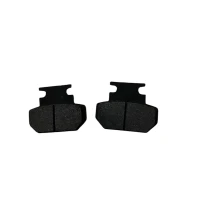 Тормозные колодки для электроскутера Citycoco Mini (задние)